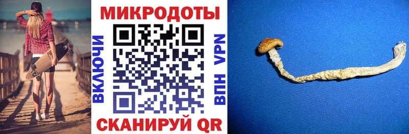 Псилоцибиновые грибы GOLDEN TEACHER  Яровое 